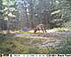 HUNT0234.jpg
