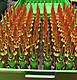 LiteComp300WinMag-4-4.jpg