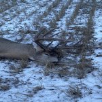 IMG_1343.jpg