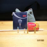 22  LR Shot Shells.jpg