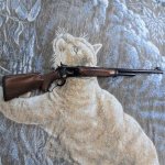 PEDERSOLI 86-71 sm.jpg