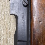 IMG_3428.jpg