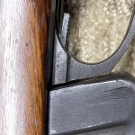 IMG_3429.jpg