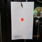 CCI 22 Shot 4.5 mtrs.jpg