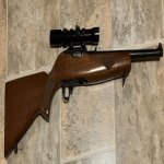 Ruger 1973 a x.jpg