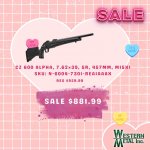 V-Day WM (1).jpg