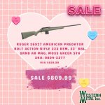 V-Day WM (2).jpg