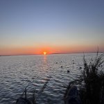 IMG_9088.jpg