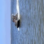 IMG_9051.jpg
