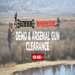 brow-win-demo-guns-2024-english.jpg