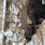 IMG_0185.jpg