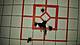 First 100 rounds groupings 2.jpg