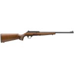 wildcatsporter.jpg wildcatsporter.jpg