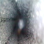WIN_20230727_07_14_07_Pro.jpg