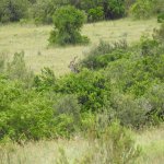 DSCN2220.jpg