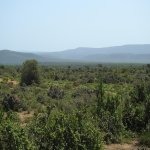 DSCN1990.jpg