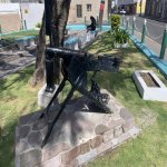 MG 08 on Nevis.jpg