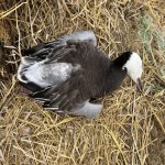 IMG_1022.jpg