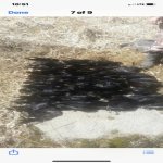IMG_7839.jpg