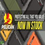 pelican.jpg