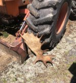 IMG_7423.jpeg