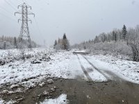 IMG_4628.jpeg