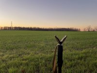 IMG_4727.jpeg