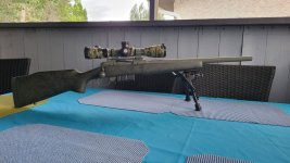 308.jpg
