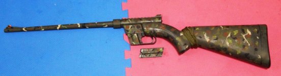 3 my Henry AR-7 3-30-24 C.JPG