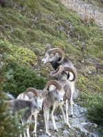 IMG_0829.jpeg