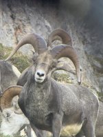 IMG_0784.jpeg