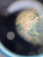 IMG_3830.jpeg