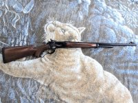 PEDERSOLI 86-71 sm  LT.jpg