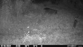 IMG_7128.jpeg