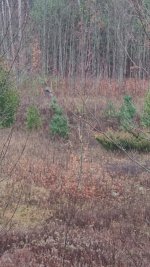 VideoCapture_20231114-181151.jpg