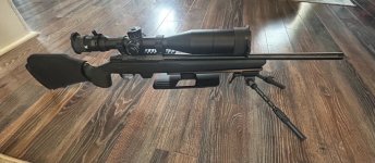 IMG_1208.jpeg