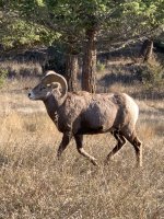 IMG_0235.jpeg