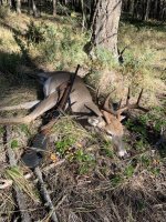 IMG_0208.jpeg