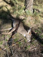 IMG_0205.jpeg