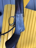 IMG_1995.jpeg