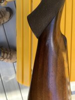 IMG_1999.jpeg