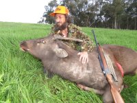 303 sambar.jpg