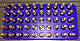 IMAG0263small.jpg
