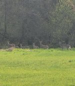 IMG_20240809_162206_835.jpg