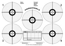 rifle 5rd target.jpg