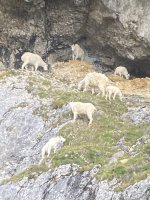IMG_5256.jpeg