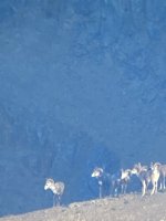 IMG_5958.jpeg