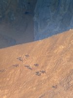 IMG_5964.jpeg