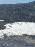 IMG_5947.jpeg