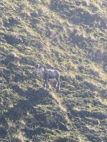 IMG_5880.jpeg
